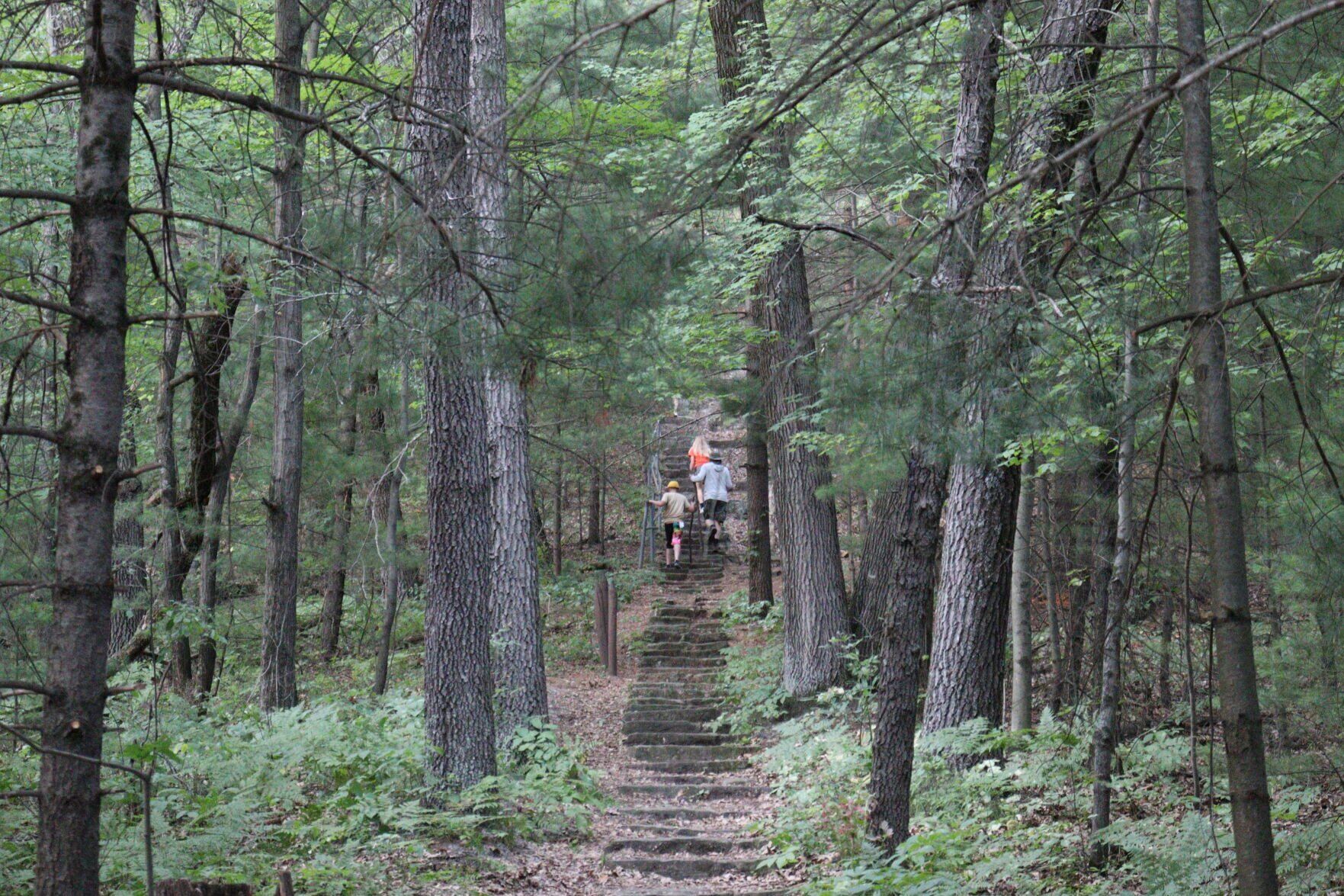 Mill Bluff State Park